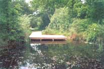 Puckles Pond, pond-dipping platform