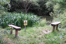 benches at entrance to Willow Pond (2016)