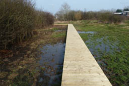 East Meadow Boardwalk (March 2015)