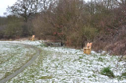 Jubilee Benches (March 2013)