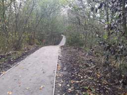 resurfaced path looking West (High Ridge) (November 2022)
