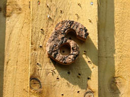 storage container - insect holes