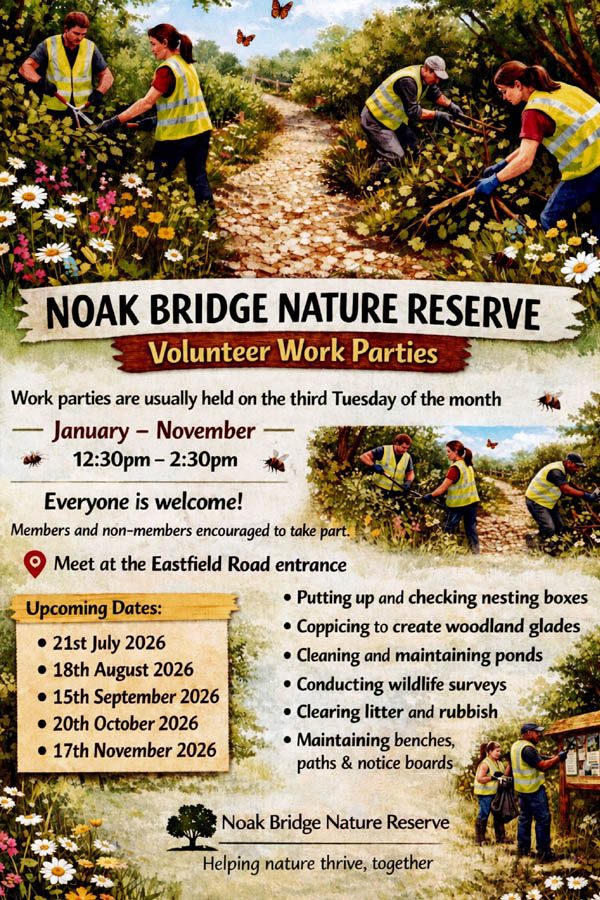 work parties flyer by Howard