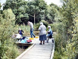 pond-dipping at Puckles Pond