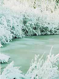 NBNR winter view 3 - Fox Pond