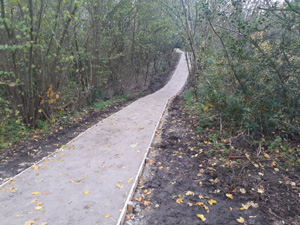 High Ridge - new path